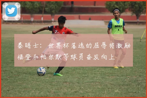 泰晤士：世界杯落选的屈辱将激励福登和帕尔默等球员奋发向上