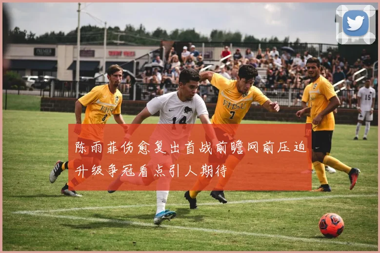 陈雨菲伤愈复出首战前瞻网前压迫升级争冠看点引人期待