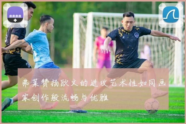 弗莱赞扬欧文的进攻艺术性如同画家创作般流畅与优雅